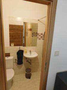 a bathroom with a toilet and a sink at Ubytovanie u Albína in Betlanovce
