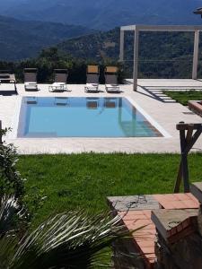 ein Pool in einem Garten mit Stühlen um ihn herum in der Unterkunft Nausicaa B&B in Prignano Cilento