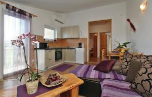 Kuchyň nebo kuchyňský kout v ubytování Apartments Vesna