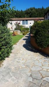 A garden outside Lady Frantoio Toscano
