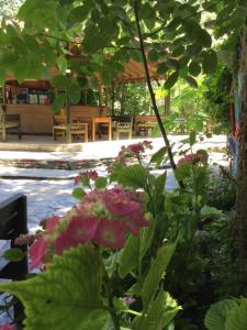 A garden outside Uyku Vadisi Hotel
