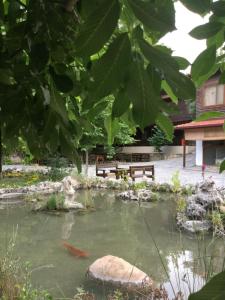 Táj Show hostels közelében