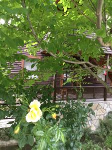 A garden outside Uyku Vadisi Hotel