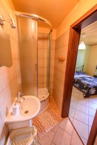 a bathroom with a sink and a shower and a toilet at Willa Vacanza in Łeba