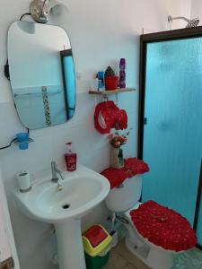 a bathroom with a sink and a toilet and a mirror at Eucaliptos Bed and Breakfast in Volcán