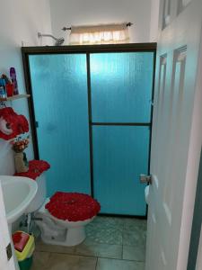 a bathroom with a toilet and a glass shower at Eucaliptos Bed and Breakfast in Volcán