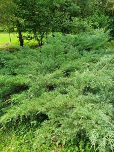 Photo de la galerie de l'établissement Kamilla Kulcsoshaz, à Sub Cetate 25 autres photos