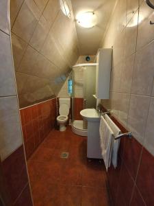 a small bathroom with a toilet and a sink at Kamilla Kulcsoshaz in Sub Cetate