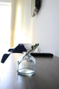 Foto sihtkohas Veliko Gradište asuva majutusasutuse Gonik Apartmani galeriist