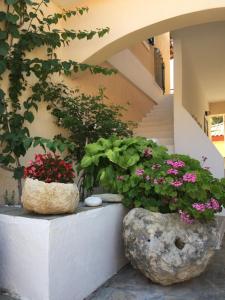 Vonkajšia záhrada v ubytovaní Casa Buganvilla