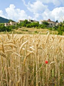 Gallery image of Le Jas de Verdolier in Sault-de-Vaucluse