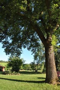 A garden outside B&B La vecchia quercia Home Restaurant