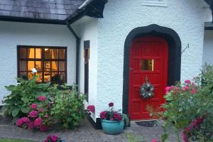 Aed väljaspool majutusasutust Ivy Cottage B&B