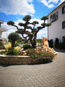 einen Bonsai-Baum vor einem Gebäude in der Unterkunft Villa Anja in Peroj
