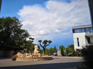 Zahrada ubytování Villa Anja