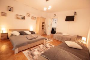 Telewizja i/lub zestaw kina domowego w obiekcie Apartamenty Bieszczady