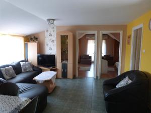 a living room with two couches and a tv at Andi Apartman in Gyula