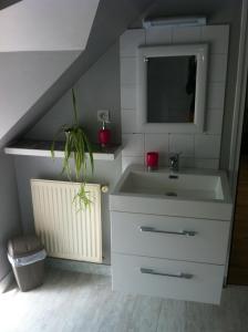a bathroom with a sink and a mirror at Gîte des petites Poules rousses 9 personnes Zoo Parc Beauval Saint Aignan et Châteaux de la Loire in Choussy +14 photos