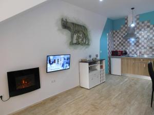 a living room with a fireplace and a kitchen at APARTAMENTO ROMULO Y REMO-ROMULO in Merida