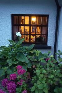 Aed väljaspool majutusasutust Ivy Cottage B&B