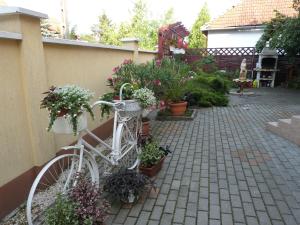 a white bike parked next to a wall with flowers at Andi Apartman in Gyula