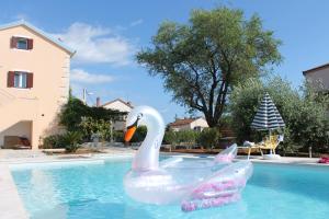 a plastic swan in a swimming pool at Apartments Borghetto in Vinkuran