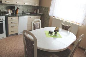 Kuchyň nebo kuchyňský kout v ubytování Apartmán Lužnická, Soběslav