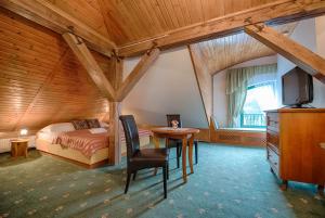 TV a/nebo společenská místnost v ubytování Hotel Zlatý Orel