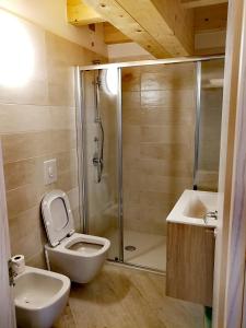 ein Bad mit einer Dusche, einem WC und einem Waschbecken in der Unterkunft casa antico borgo in Assenza di Brenzone