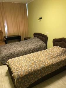 Un pat sau paturi într-o cameră la Nikea Park 2022