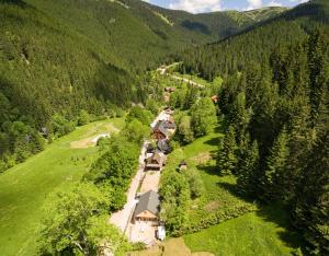 een luchtbeeld van een trein die door een bos reist bij Chata Magurka in Partizánska ľupča