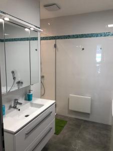 Vannituba majutusasutuses Rezeda Apartman