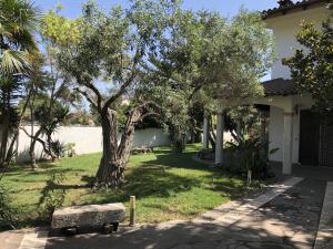un banco del parque frente a una casa con un árbol en Sa Crannaccia, en Cabras