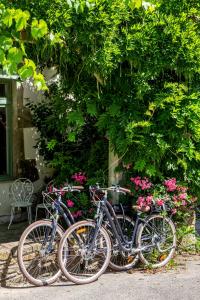 três bicicletas estacionadas debaixo de uma árvore com flores em Logis Auberge du Fel em Le Fel