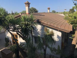a house with a tile roof and palm trees at Sa Crannaccia in Càbras