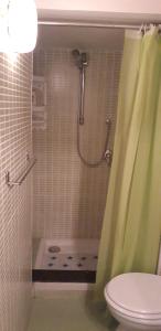 ein Bad mit Dusche, WC und Duschvorhang in der Unterkunft Magico Cilento in Ogliastro Cilento