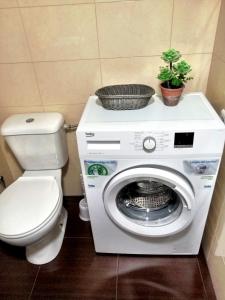 een wasmachine met een toilet en een plant bovenop bij City Central upper floor in Torremolinos