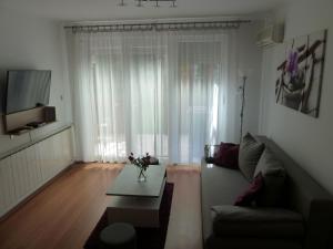 sala de estar con sofá y mesa de centro en ROSE Apartman, en Debrecen