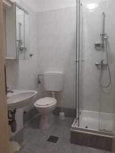 een badkamer met een toilet, een douche en een wastafel bij Clara 2 in Poreč