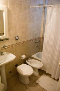 a bathroom with a toilet and a sink and a shower at La Fuente Apart Hotel in Federación