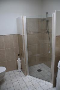 een douche met een glazen deur in de badkamer bij tisOKE in Vught
