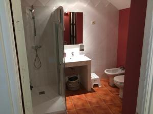 a bathroom with a shower and a sink and a toilet at Lunas de Siguenza in Sigüenza