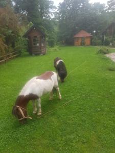 two animals grazing on the grass in a yard at Vodopad Lisine in Strmosten
