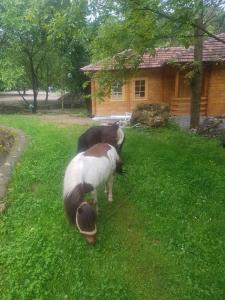 Фотография из галереи Vodopad Lisine в городе Strmosten +86 фотографий