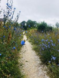 Gallery image of Lilla Sommarhuset Burgsvik in Burgsvik