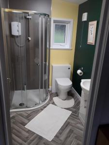 a bathroom with a shower and a toilet at The Old Greenhouse in Dunvegan
