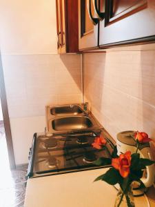 kuchnia z kuchenką i wazonem z kwiatami w obiekcie Apartament Przy Deptaku w Drawsku Pomorskim