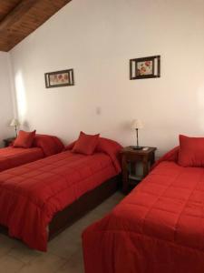2 camas en una habitación con sábanas rojas en Posada Che Teindy en Colonia Carlos Pellegrini