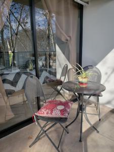 duas cadeiras e uma mesa com uma planta em DEPARTAMENTO VERA MUJICA 1 cochera propia incluida em Rosário