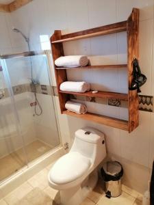 a bathroom with a white toilet and a shower at Apart Hotel Claro de Luna in Frutillar